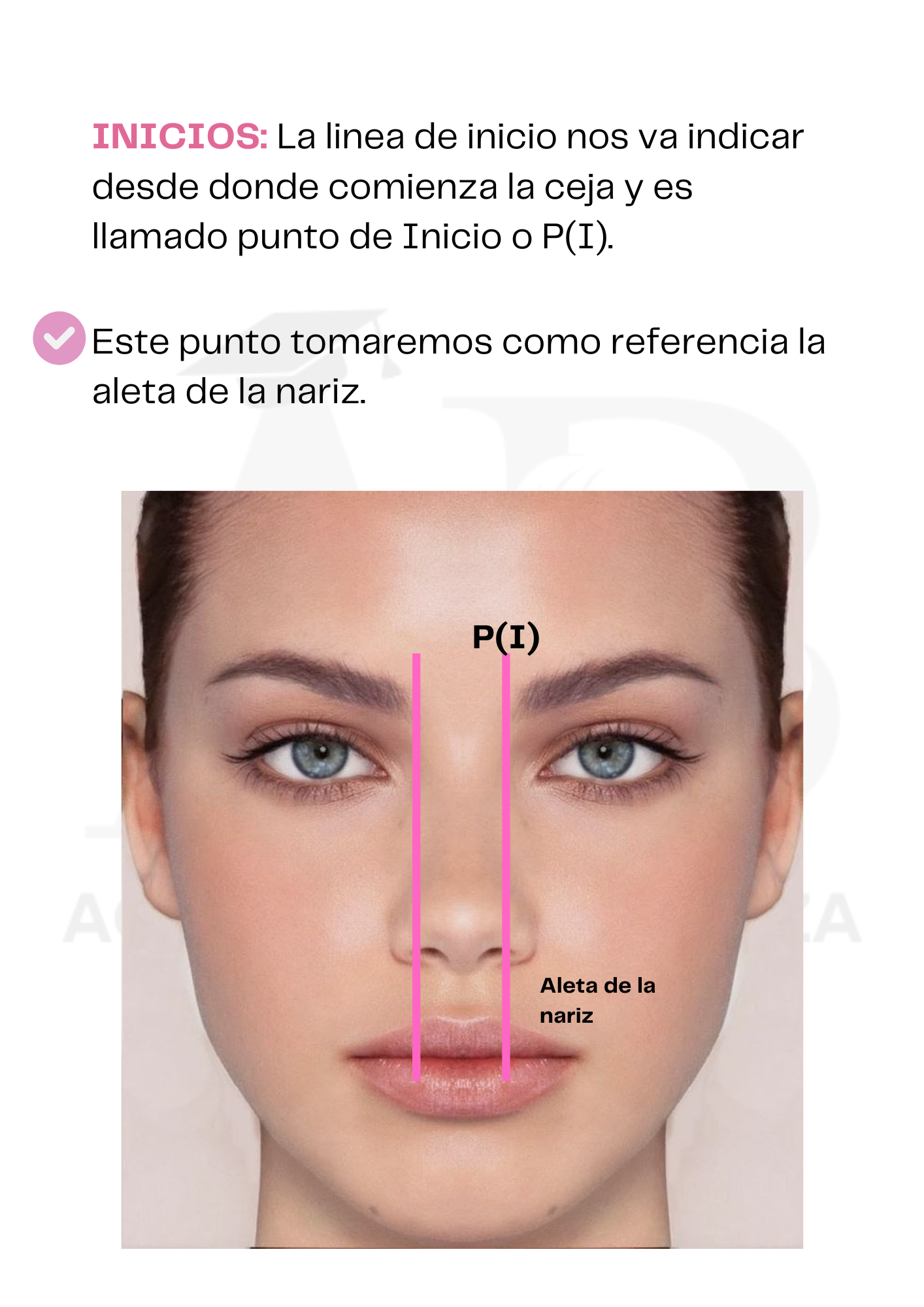 Guía Cejas Perfectas