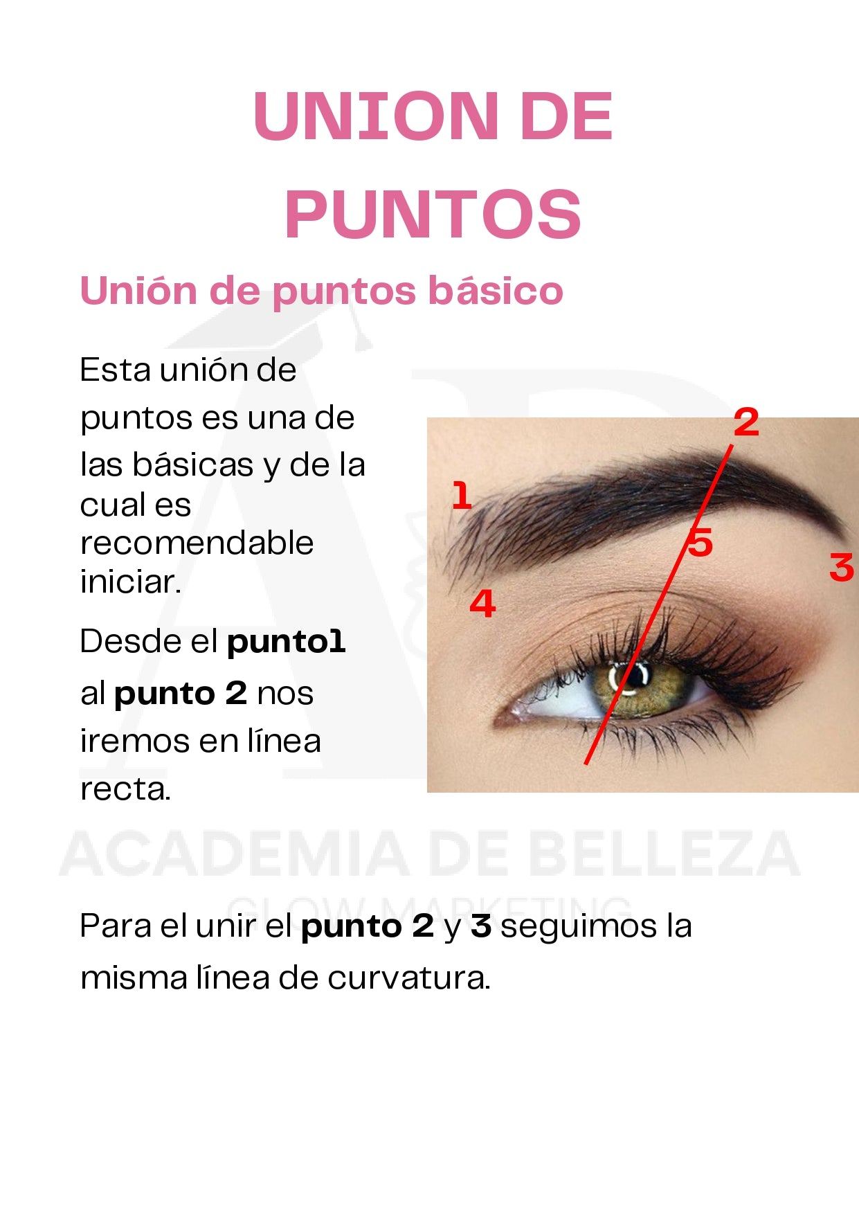 Guía Cejas Perfectas